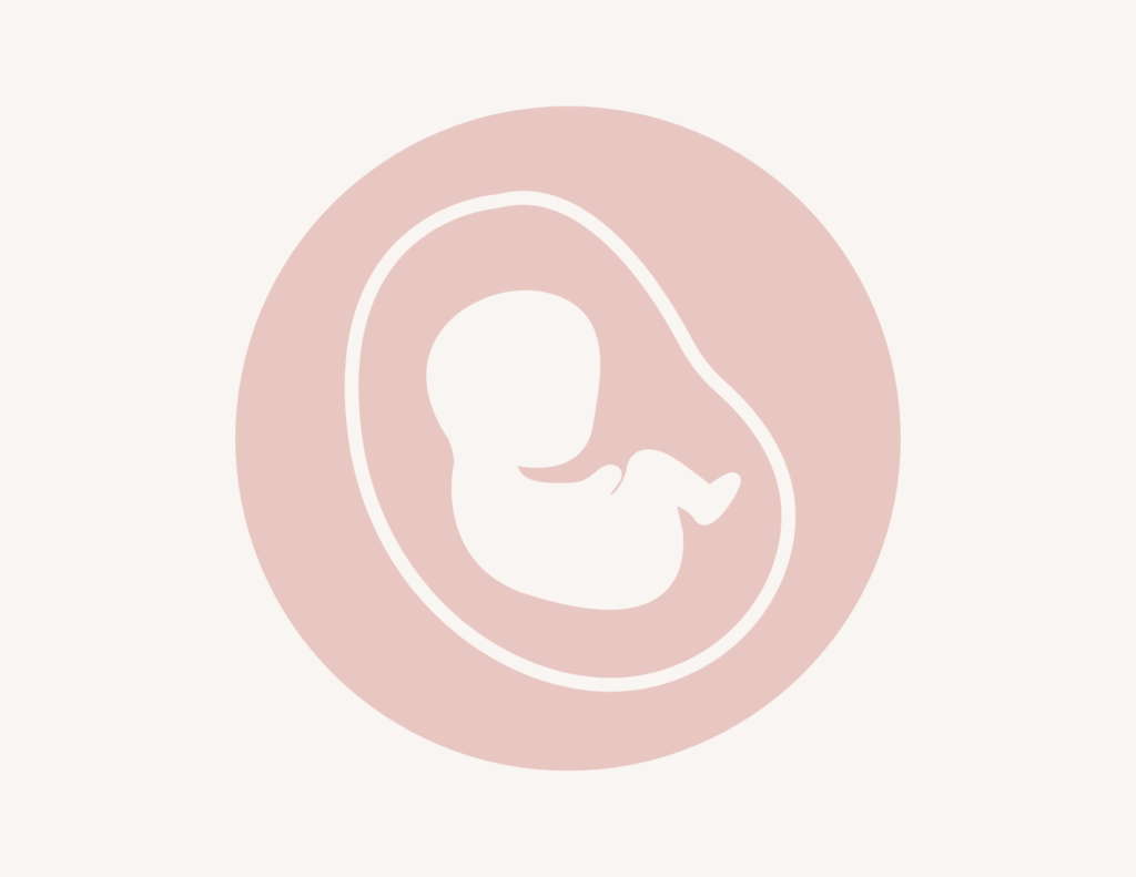 diseño sin título (10)