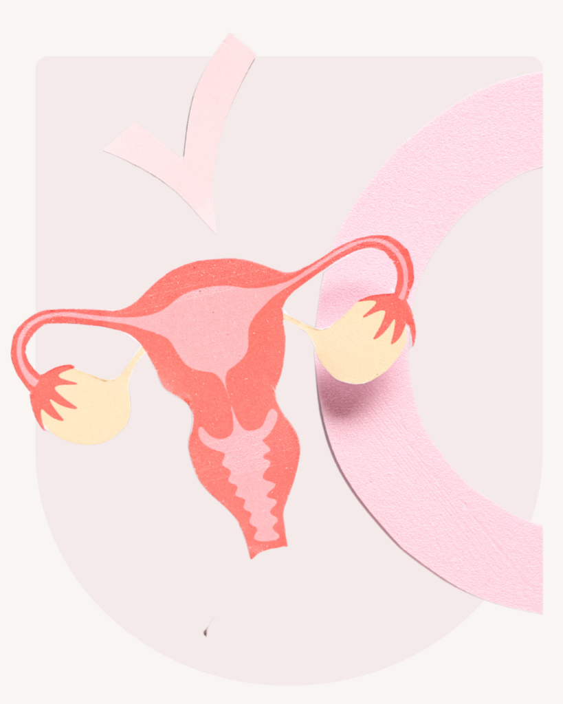 diseño sin título (12)