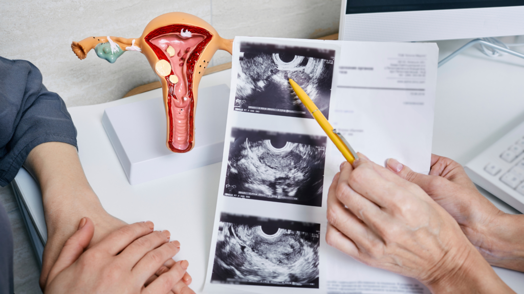 bienvenidos a femininutricion (2)