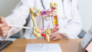 Microbiota Intestinal: como influye en tu salud
